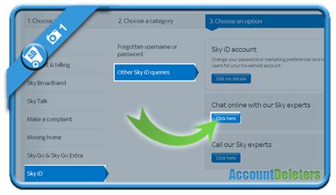 how to delete sky account.